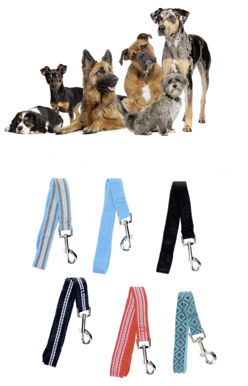 Kennel Club Medium Dog Leashes, Assorted ( M )